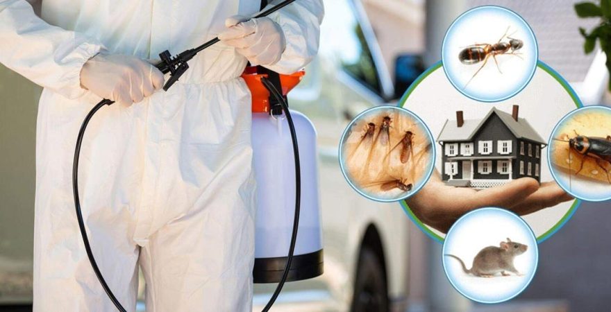 Tortum Böcek İlaçlama