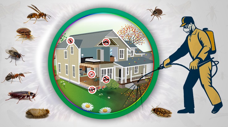 Tortum Böcek İlaçlama