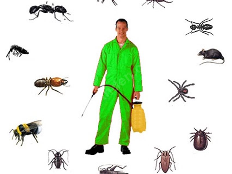 Tortum Böcek İlaçlama